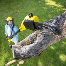 Best Lawn Maintenance Plans  in Pekin, IL